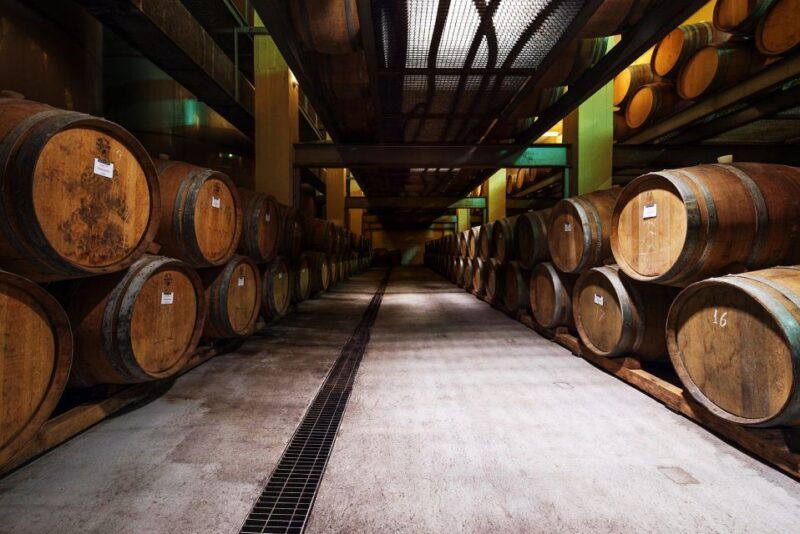 santorini-greek-food-wine-tasting-tour