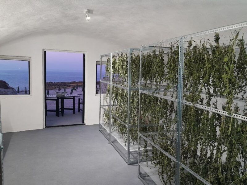 santorini-private-agri-educational-visit-to-an-organic-farm-2