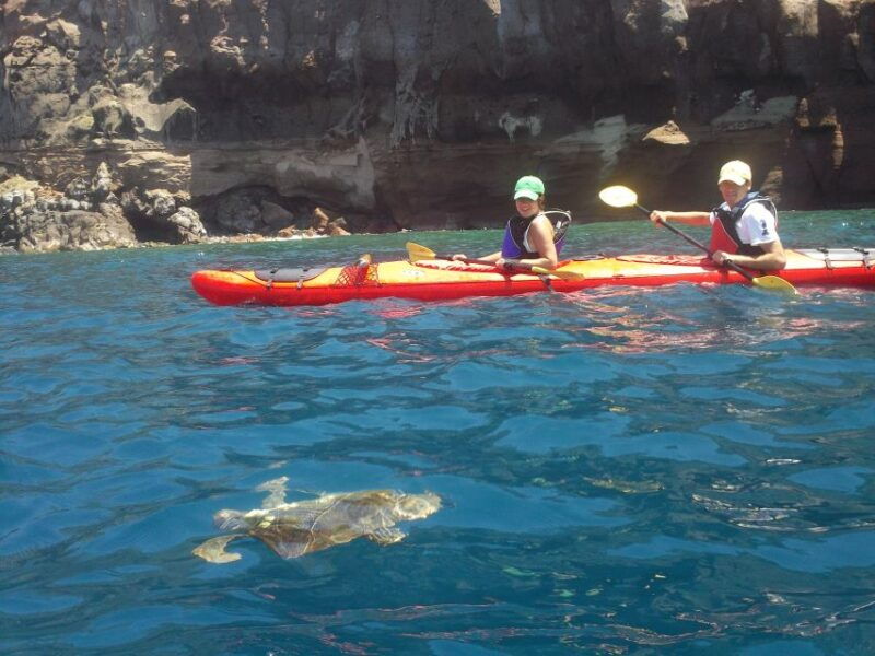 santorini-south-sea-kayaking-tour-with-sea-caves-and-picnic