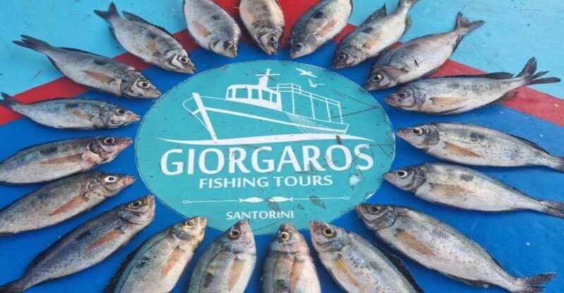 santorini-traditional-fishing-trip-and-fresh-fish-lunch