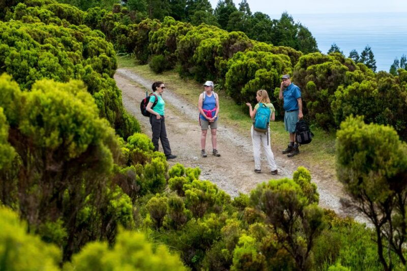 sao-miguel-full-day-hike-to-lagoa-do-fogo