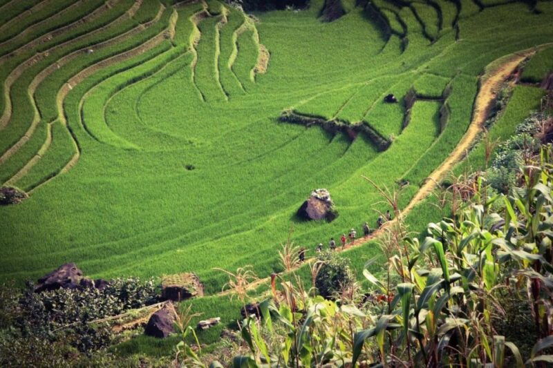 sapa-3-day-trekker