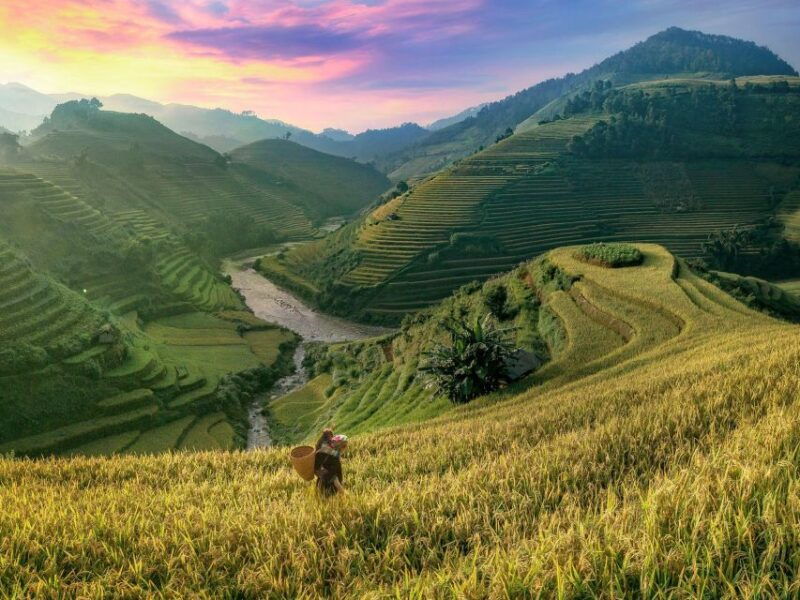 sapa-package-tour-2-days-1-night-with-trekking