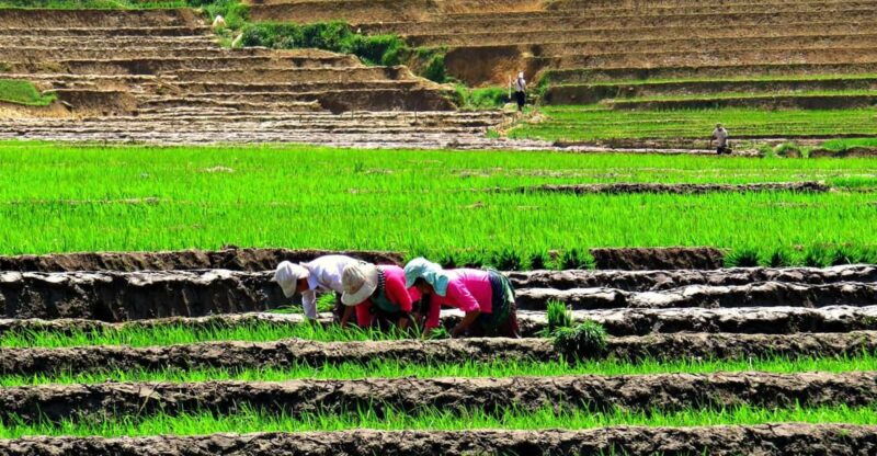 sapa-trekking-muon-hoa-2-days-1-night