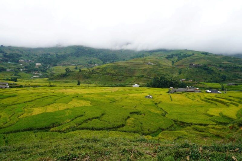sapa-trip-to-y-linh-ho-lao-chai-ta-van-cat-cat-village