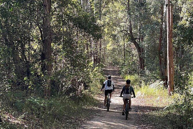 Scenic eBike of the Noosa Biosphere Trail Network - Final Words