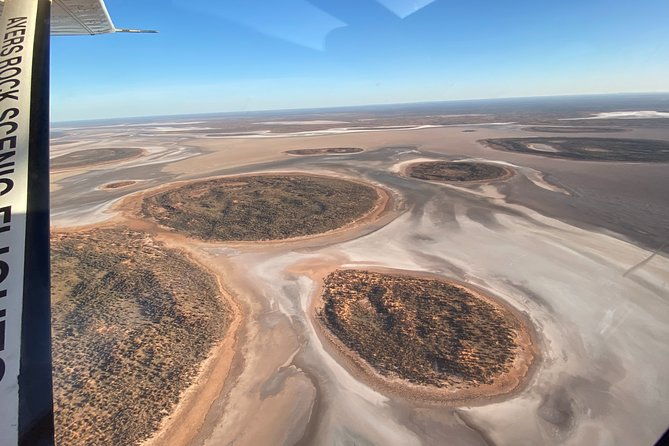 Scenic Plane Flight: Lizard Safari - The Experience: What You Can Expect
