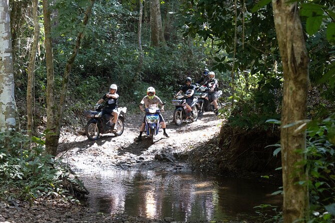 Scooter Adventure with elephants, views and FUN drive yourself - Practical Details and What You Need to Know