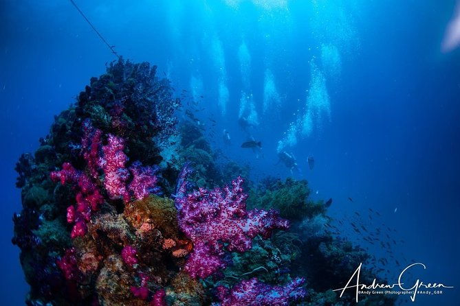 Scuba Dive the S.S. Yongala Wreck on the Great Barrier Reef. - Who Will Love This Tour?