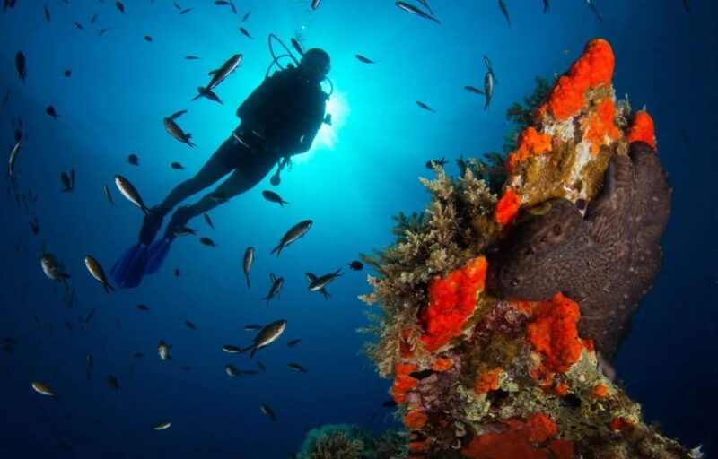 scuba-diving-for-beginners-in-crystal-clear-sea-of-halkidiki