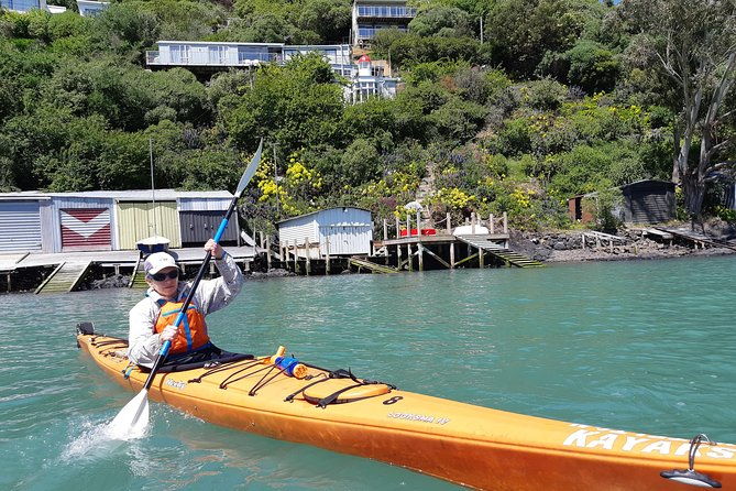 Sea Kayaking Christchurch, Lyttelton Harbour & Quail Island - Practical Details & What Really Matters