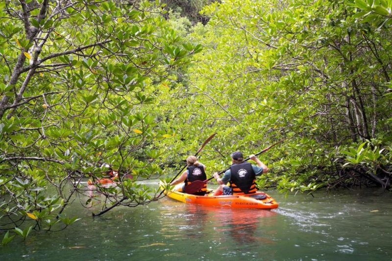 sea-kayaking-in-ao-thalane-optional-full-day-hong-island
