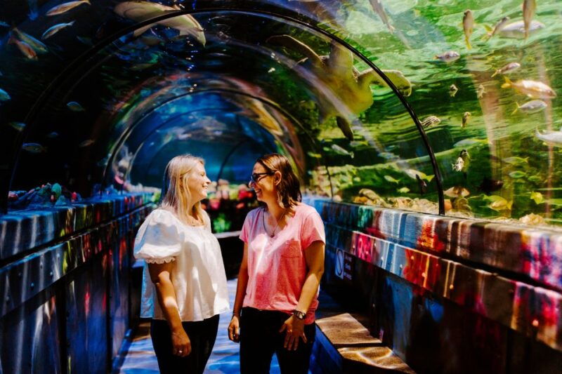 sea-life-brighton-admission-ticket-2