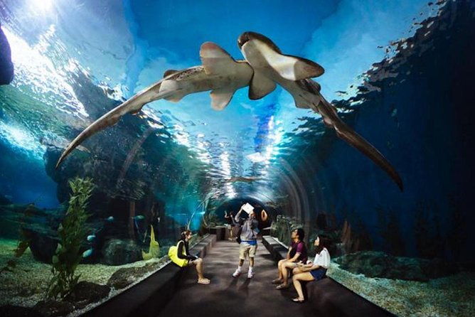 SEA LIFE Ocean World at Bangkok Admission Ticket - What Really Sets it Apart