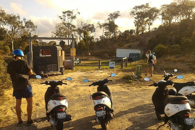 Self Guided Agnes to 1770 Scooter Hire - Why This Tour Works for You