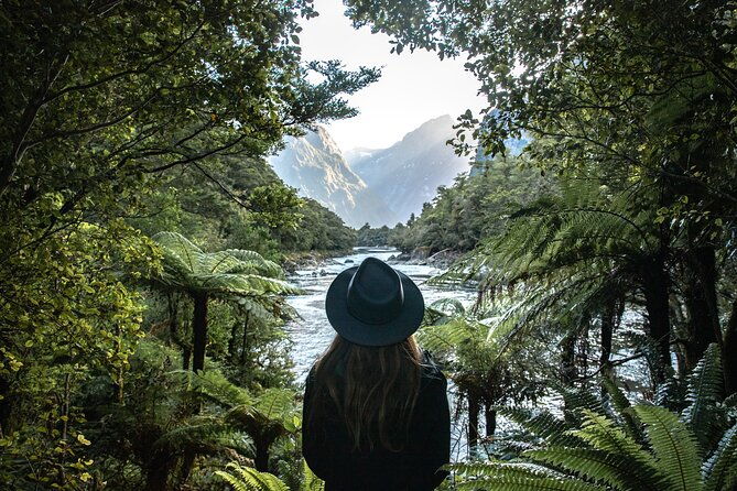 Self-Guided Milford Track Day Walk - Milford Sound - What to Expect from the Itinerary