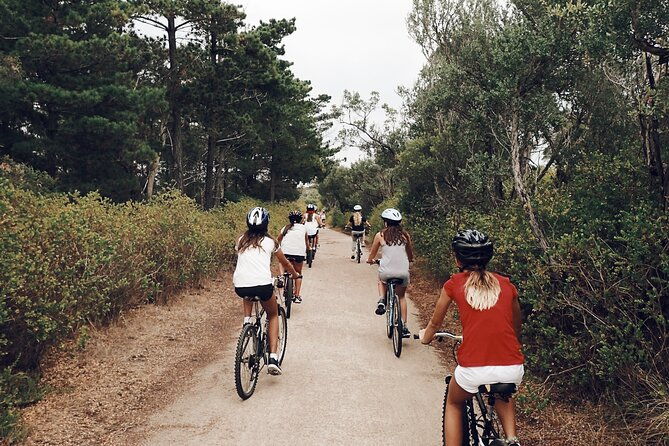 Self-Guided Point Nepean National Park Bike Hire - What’s Included and What to Expect  