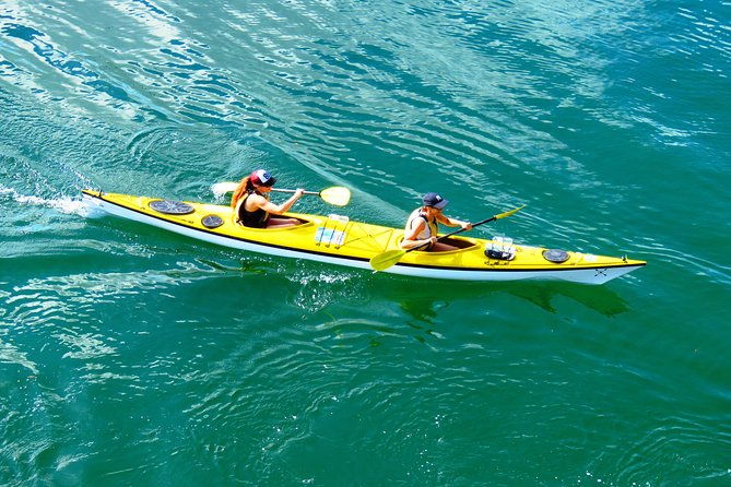 Self-Guided Sydney Middle Harbour Kayak 3 Hour Tour by Double Kayak - Final Thoughts: Who Will Love This Experience?