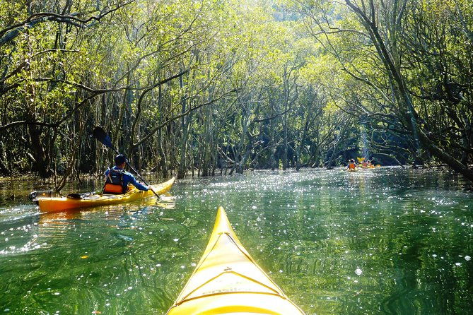 Self-Guided Sydney Middle Harbour Kayak 3 Hour Tour by Single Kayak - Who Will Love This Experience?