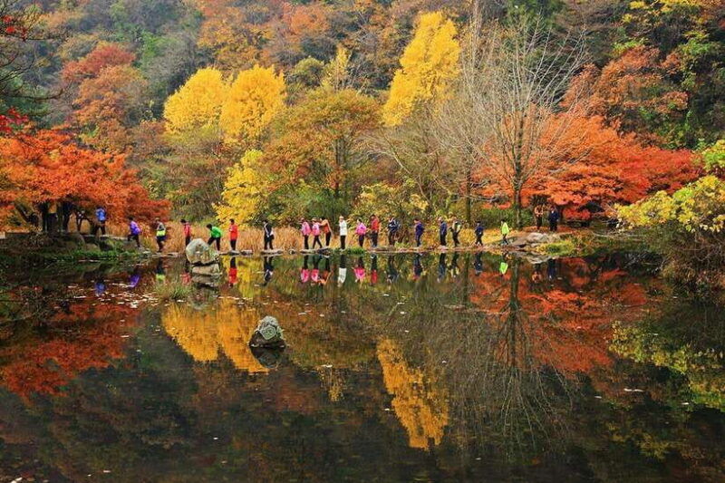 seoul-autumn-foliage-mt-naejang-jeonju-hanok-village