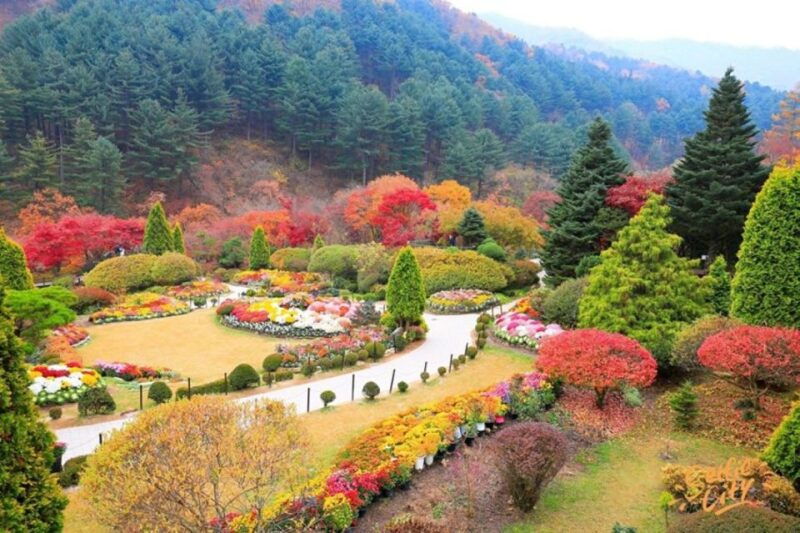 seoul-nami-and-petite-france-tour-with-optional-k-garden