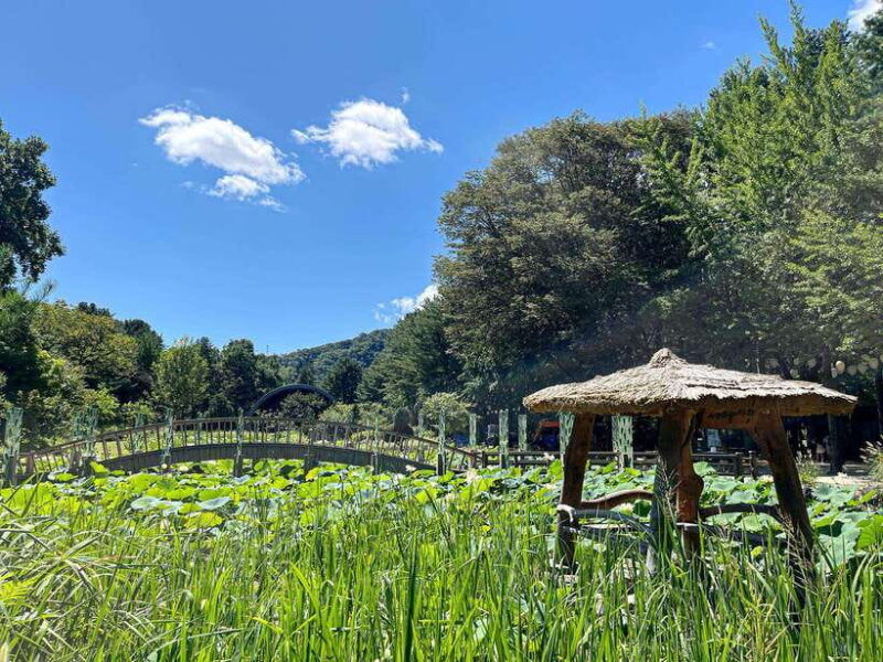 seoul-nami-island-petite-france-tour-with-railbike-option