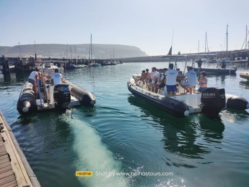 sesimbra-dolphin-watching-boat-tour-with-biologist-guide