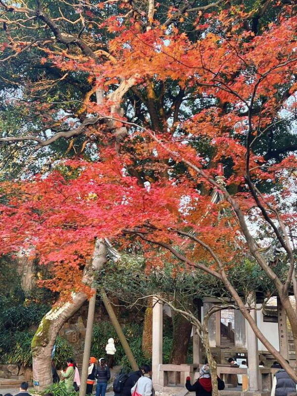 shanghai-one-day-tour-to-suzhou-lingering-garden-tiger-hill