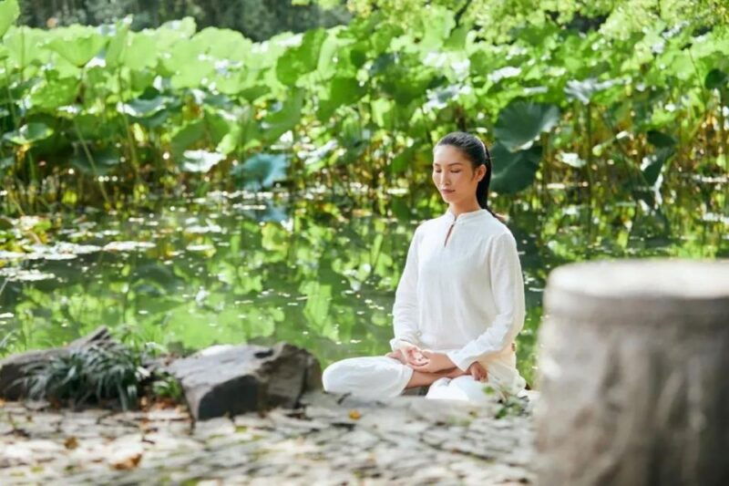 shanghai-yu-garden-tour%ef%bc%9aharmony-spirituality-in-garden-art