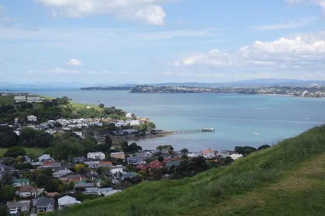 Shore Excursion: Half Day Small Group Auckland Scenic Tour - 4 HOURS - The Sum Up