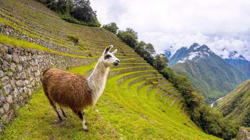 short-inca-trail-to-machu-picchu-2d-1n-5