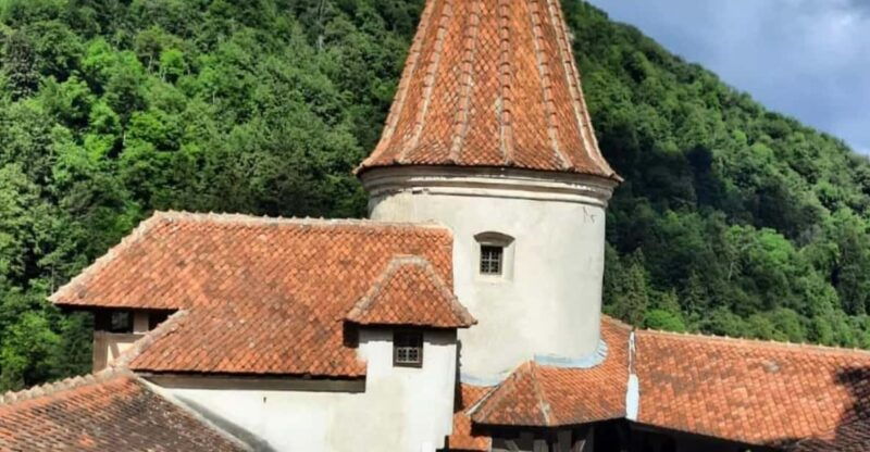 sibiu-draculas-castle-and-dino-park-day-trip