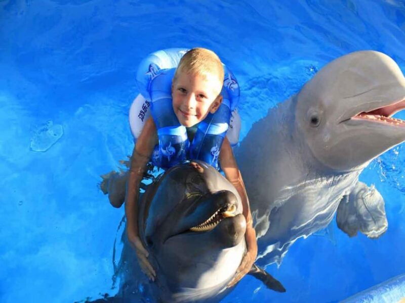 side-alanya-swimming-with-dolphins