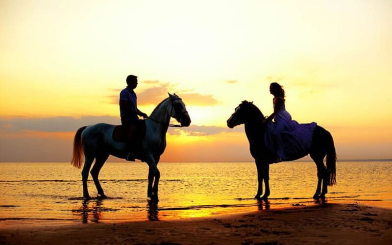 side-horseback-riding-tour-in-nature-with-transfer