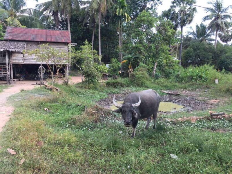 siem-reap-4-day-angkor-wat-and-beng-mealea-tour