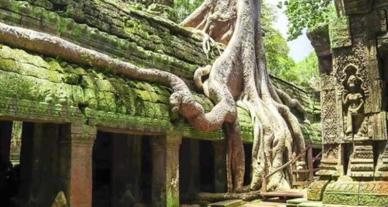 siem-reap-angkor-and-ta-prohn-ancient-temples-3-day-tour