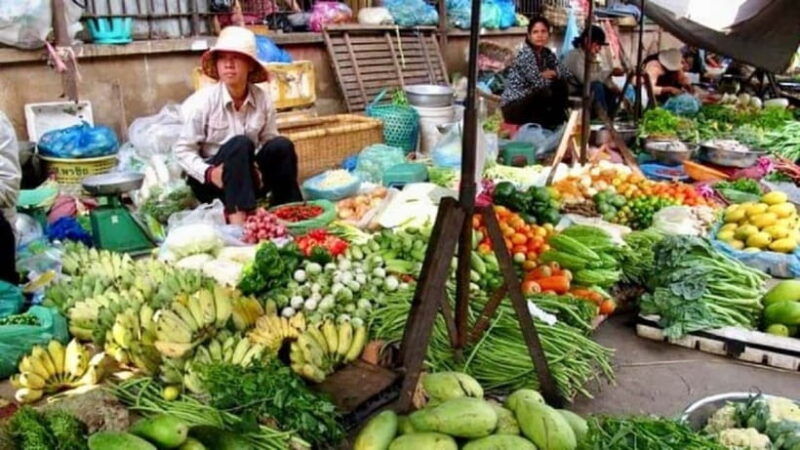 siem-reap-scenic-countryside-silk-farm-jeep-tour