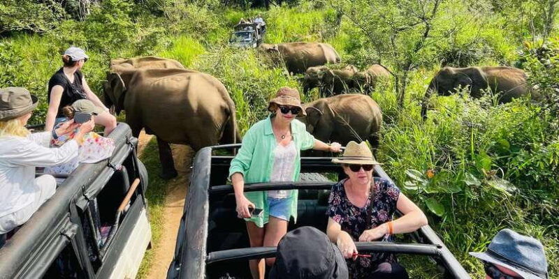 sigiriya-dambulla-habarana-minneriya-national-park-safari