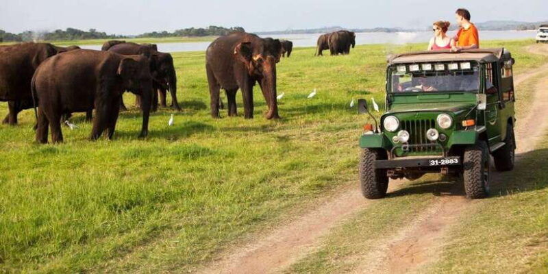 sigiriya-day-tour-with-jeep-safari-from-trincomalee