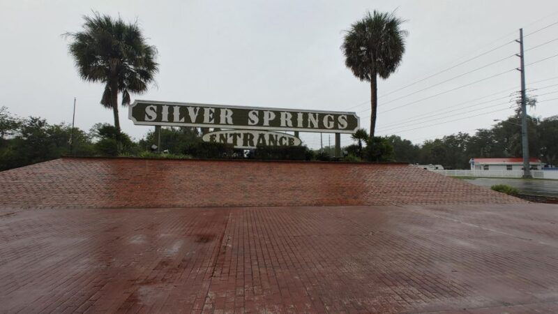 silver-springs-manatee-kayaking-tour
