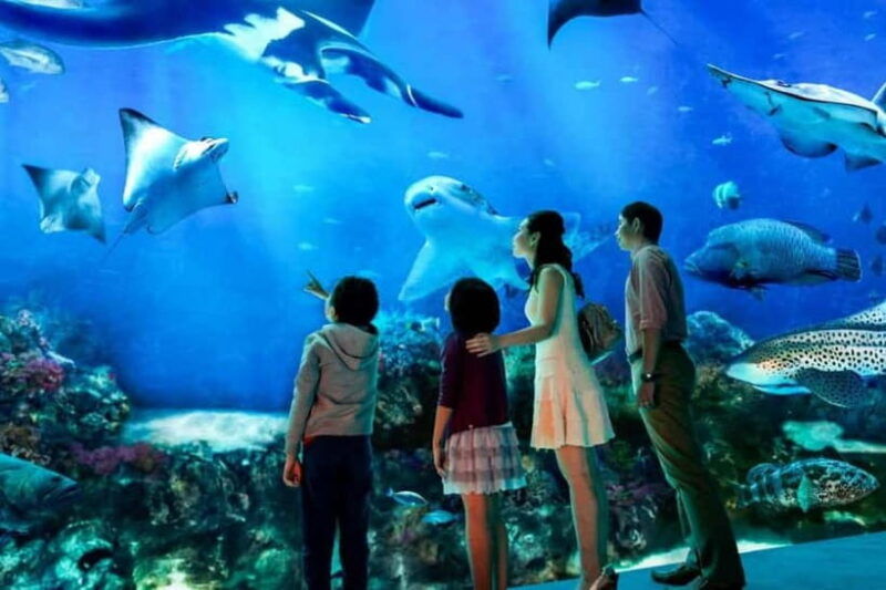 singapore-s-e-a-aquarium-entrance-e-ticket