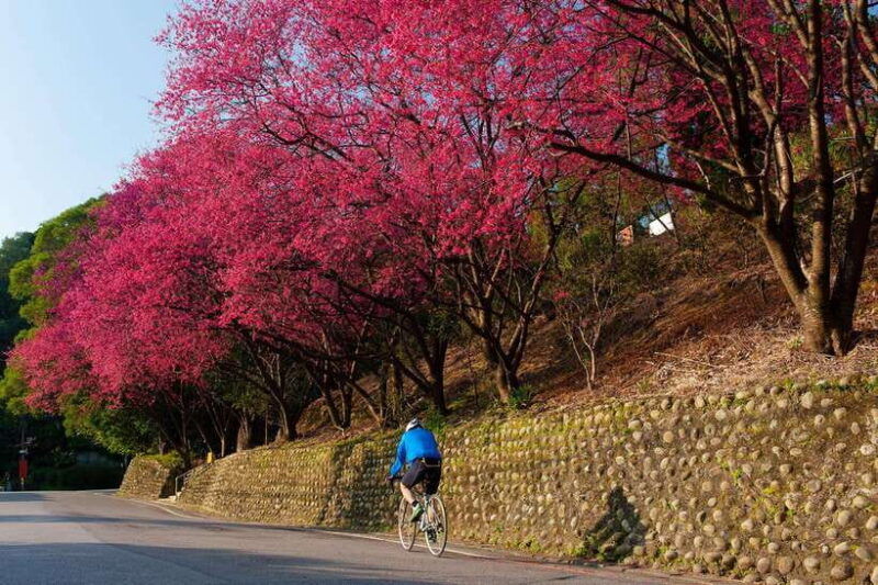 sip-savor-%f0%9f%9a%a0-maokong-tea-shenkeng-tofu-private-day-tour