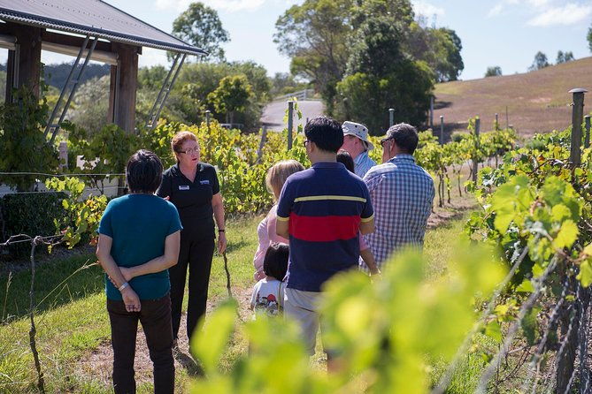 Sirromet Winery Tour and Wine Tasting - Practical Tips for Visitors