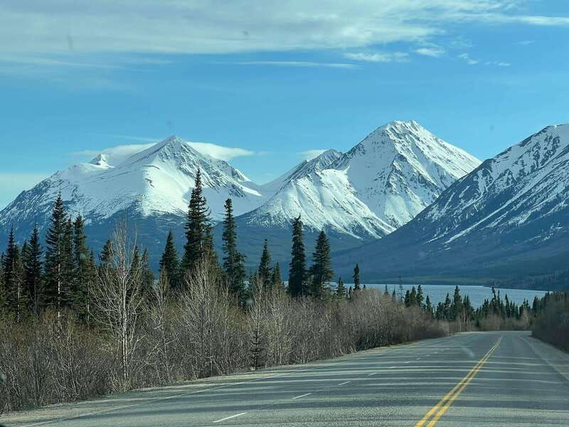 skagway-yukon-dog-mushing-sightseeing-tour-2