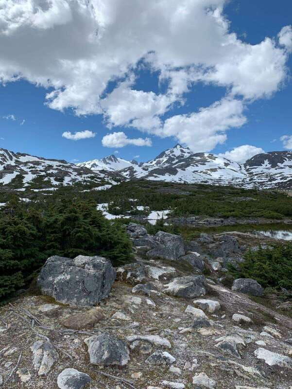 skagway-yukon-suspension-bridge-summit-tour-2