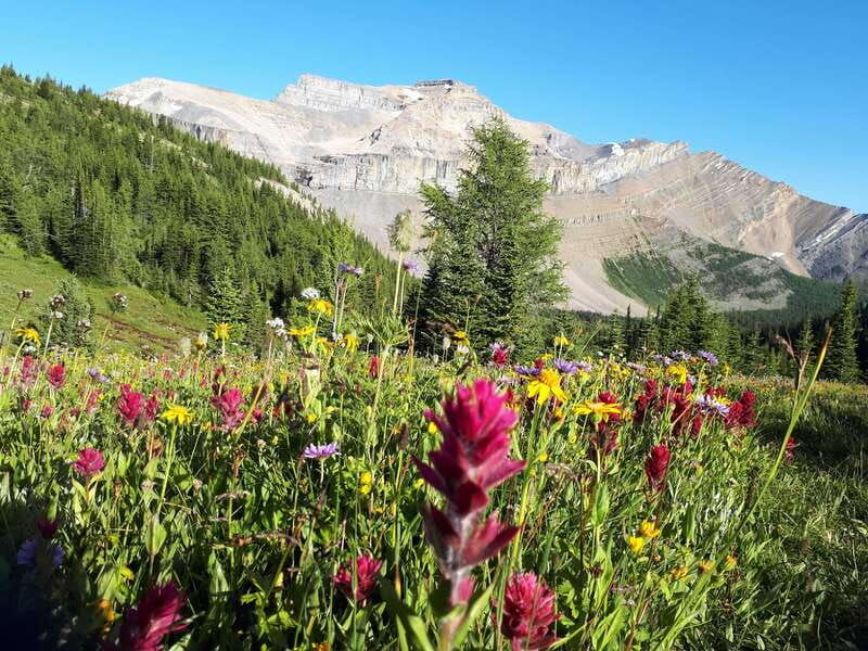 skoki-lake-louise-daily-guided-hike-in-the-canadian-rockies