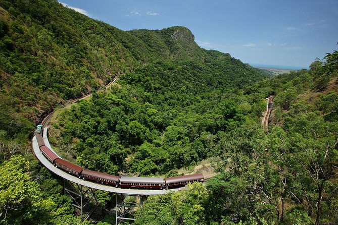 Skyrail Rainforest Cableway Day Trip from Palm Cove - Analyzing the Value