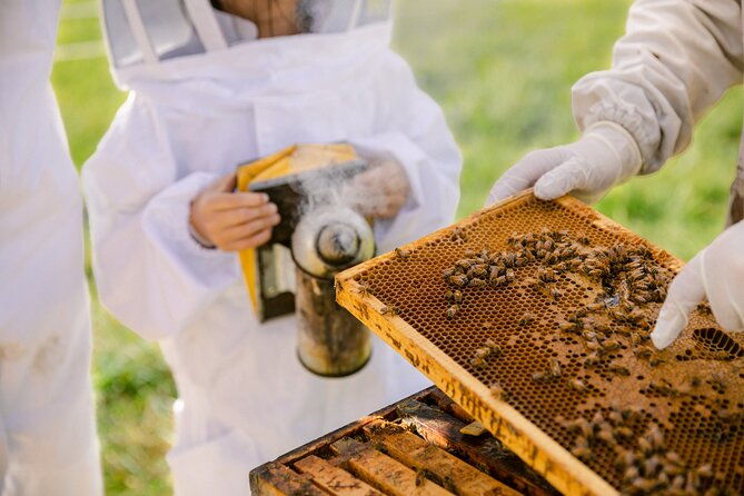 Small-Group Beekeeping Experience in Tauherenikau - Practical Details and What You Need to Know