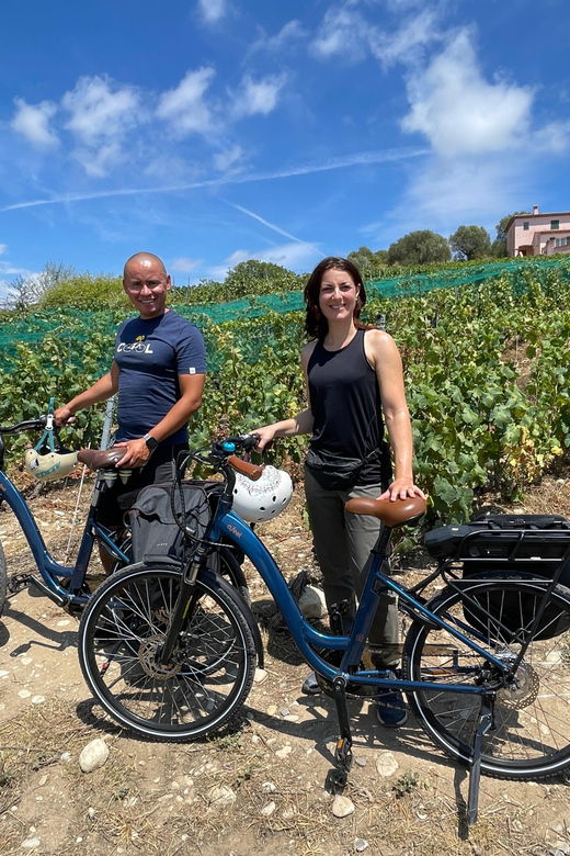 small-group-guided-e-bike-tour-in-nices-organic-vineyard