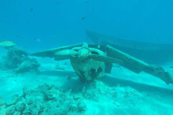 Small group snorkeling (5 people max): wrecks & tropical fishes at 3:30pm - Why We Think Its a Great Value